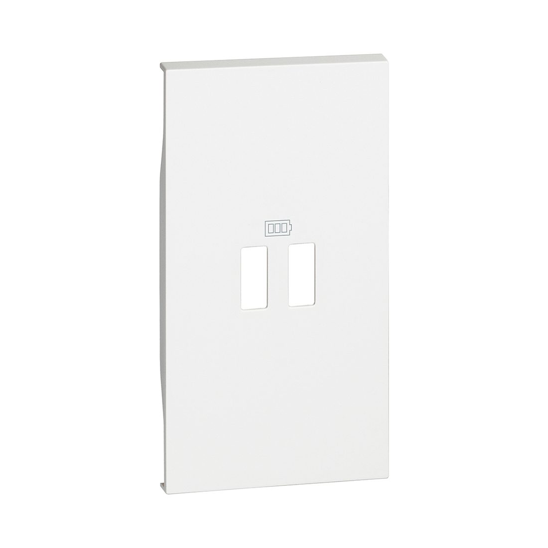 Лицевая панель Bticino KW12C Living Now для заряд.уст-в USB 2 модуль белый