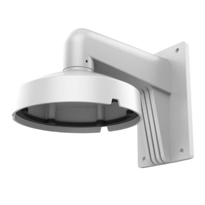 DS-1273ZJ-DM25(M1)