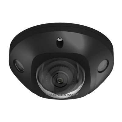 DS-2CD2543G2-IS(BLACK) (2.8mm)